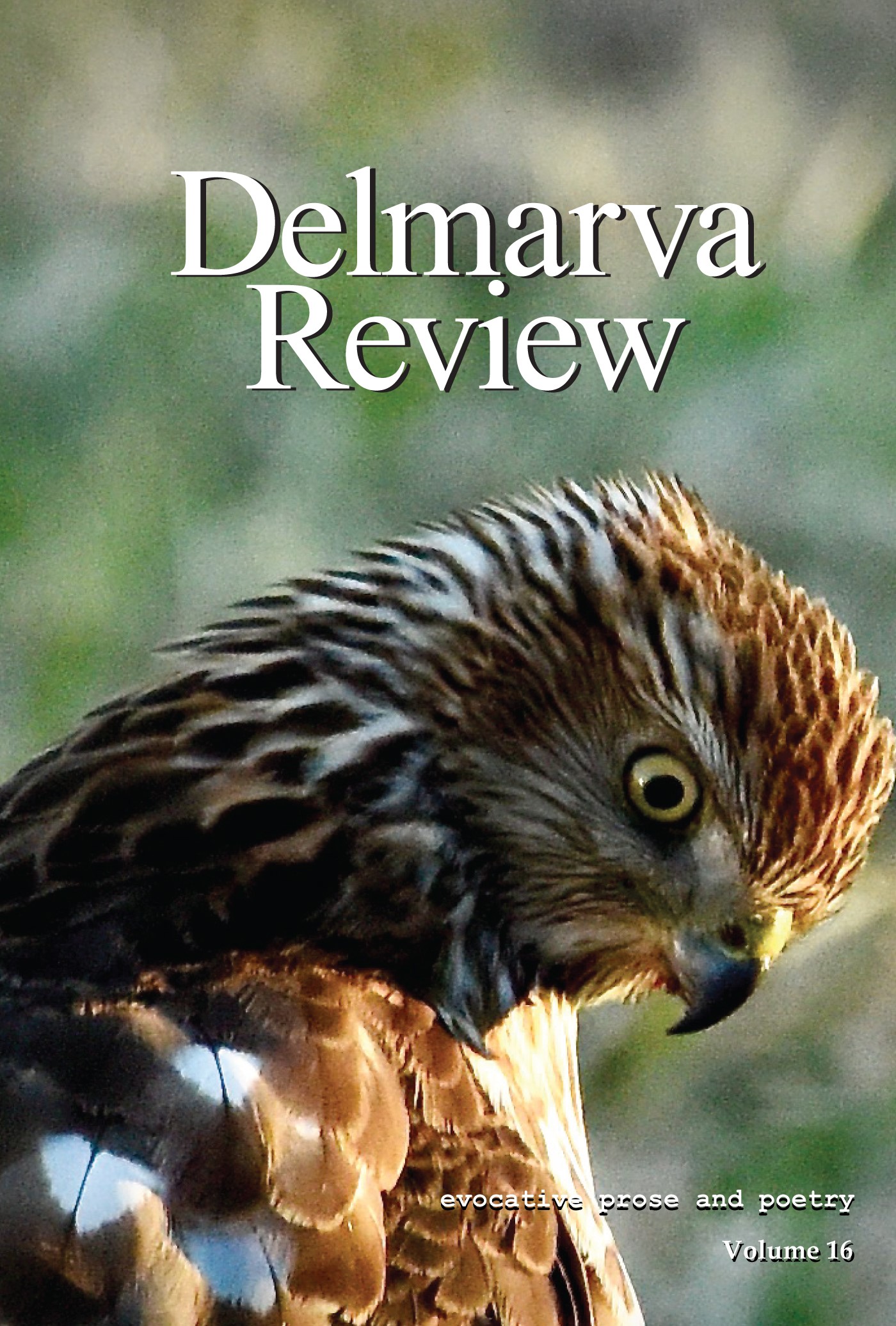 DR V16 Cover - Front